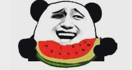 吃瓜群众二哈舔屏视频免费观看,吃瓜群众狂欢时刻！  第1张